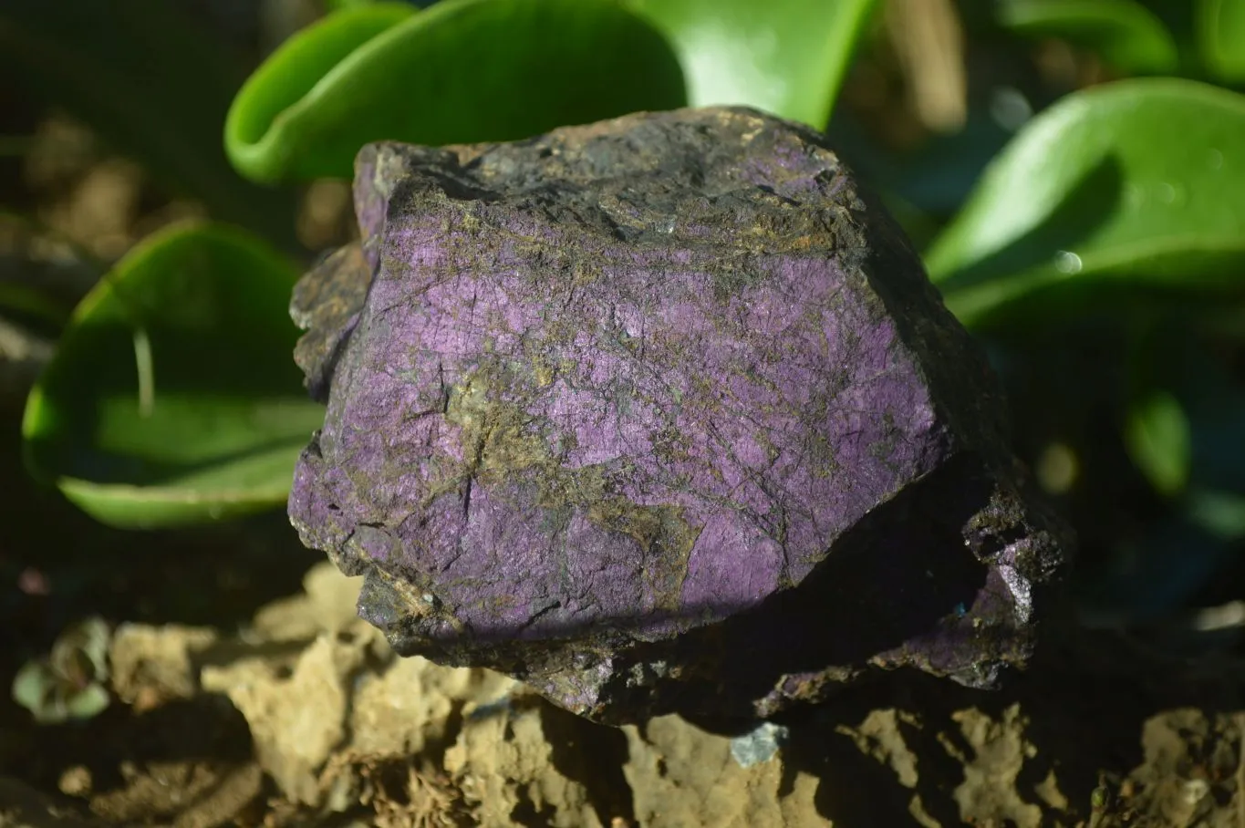 Natural Metallic Purpurite Cobbed  Specimens x 3 From Erongo, Namibia