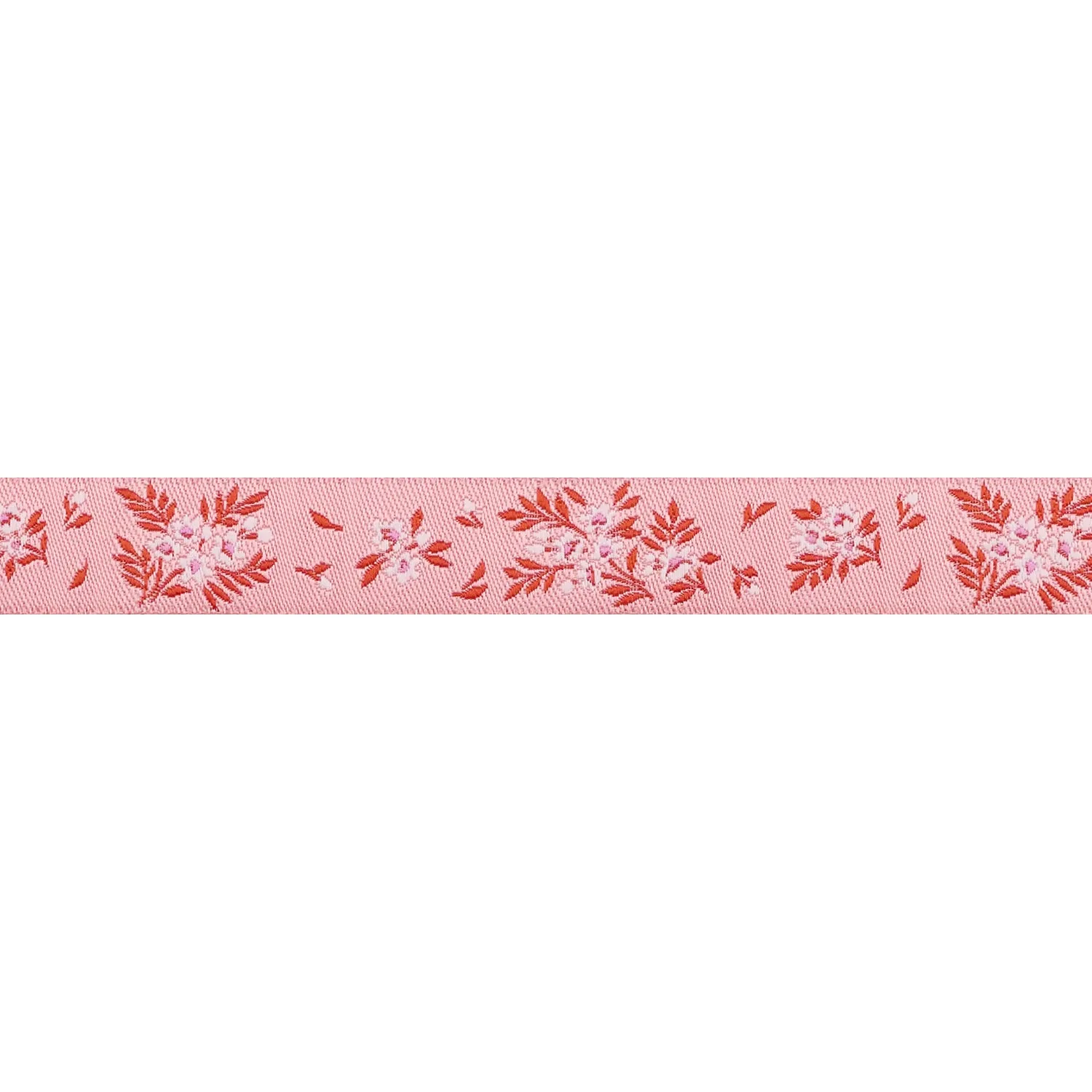 PREORDER - True Colors 2025 - What a Ditz in Peachy Keen - 5/8" width - by Tula Pink - One Yard