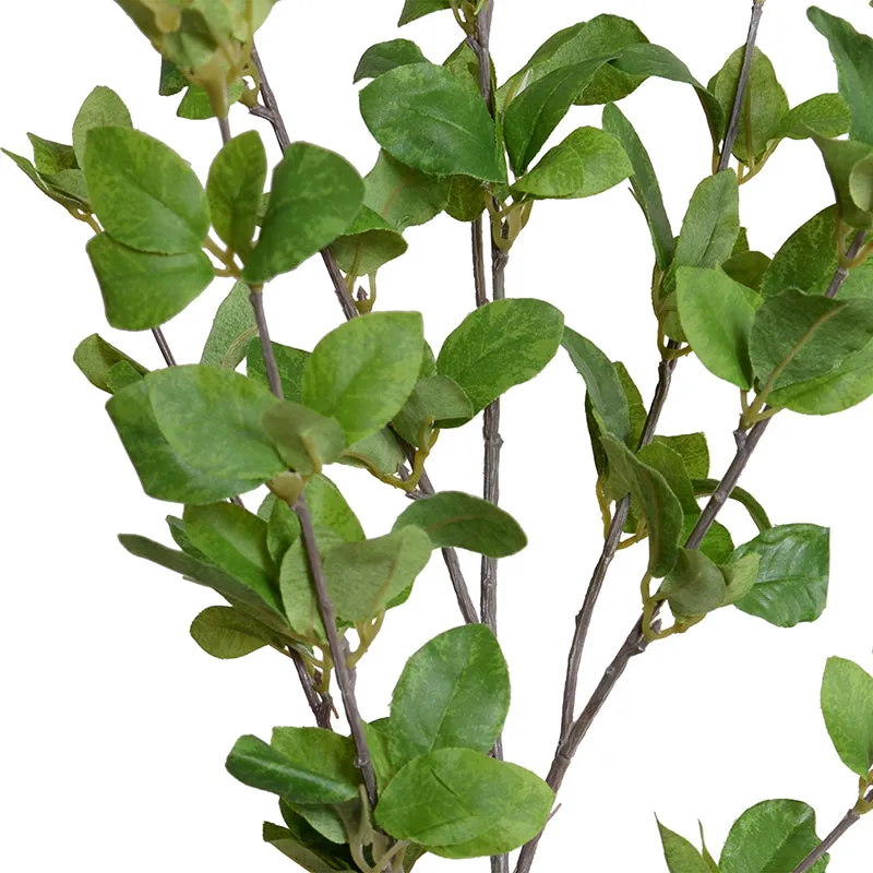 Privet Foliage Spray, 36"L - Green