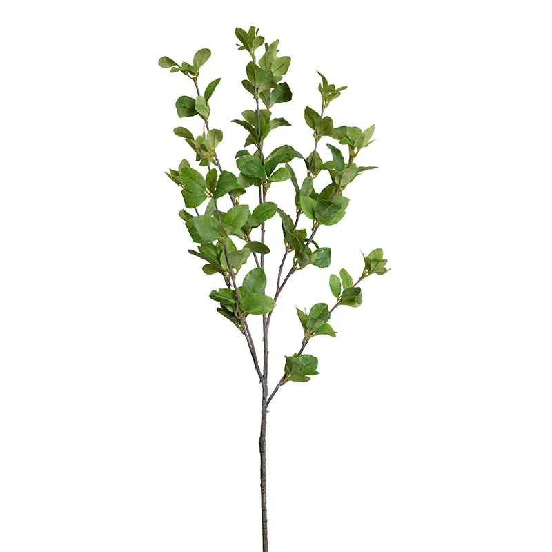 Privet Foliage Spray, 36"L - Green
