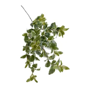 Privet Foliage Spray, 36"L - Variegated